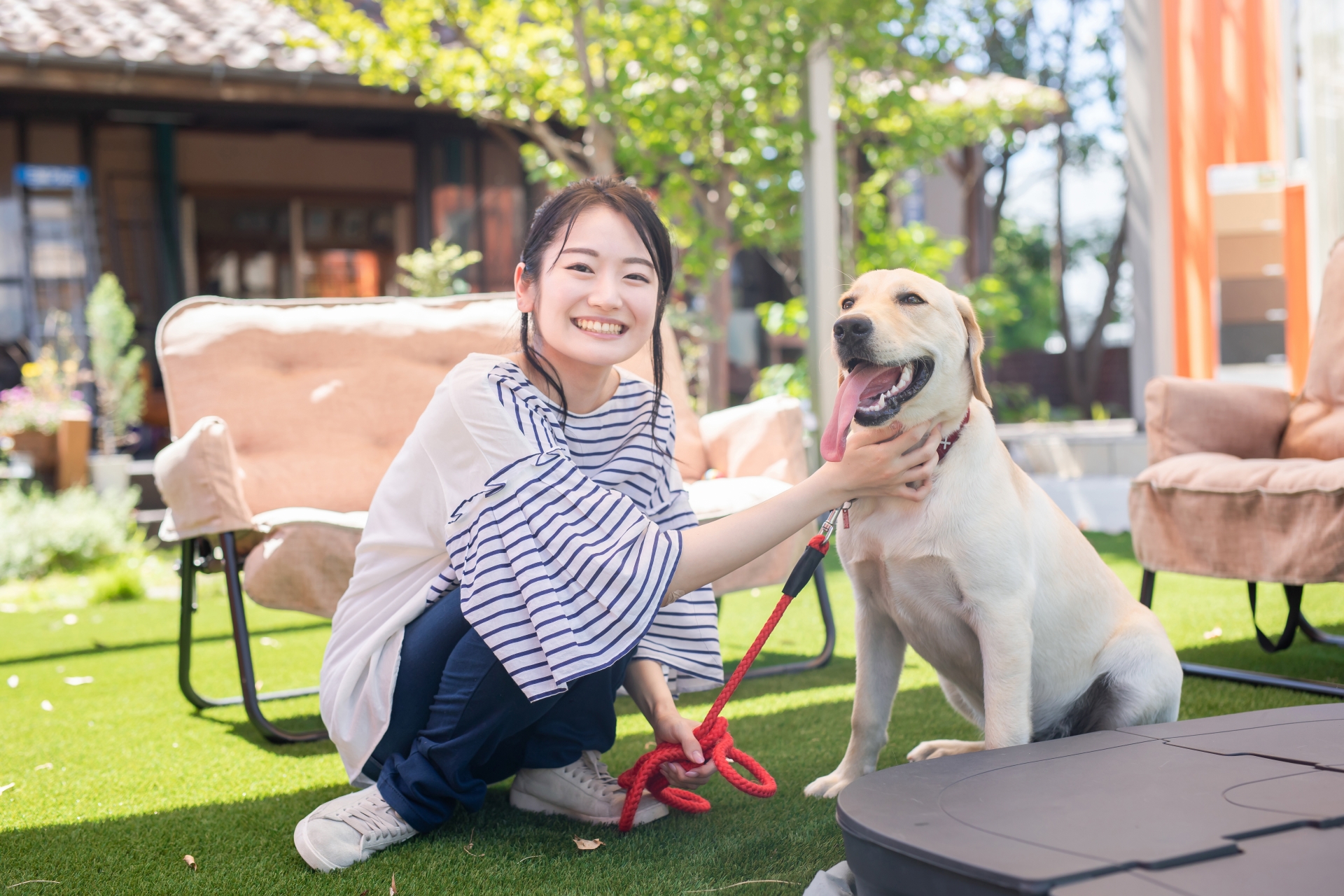 犬のボディランゲージを読み取る飼い主と犬