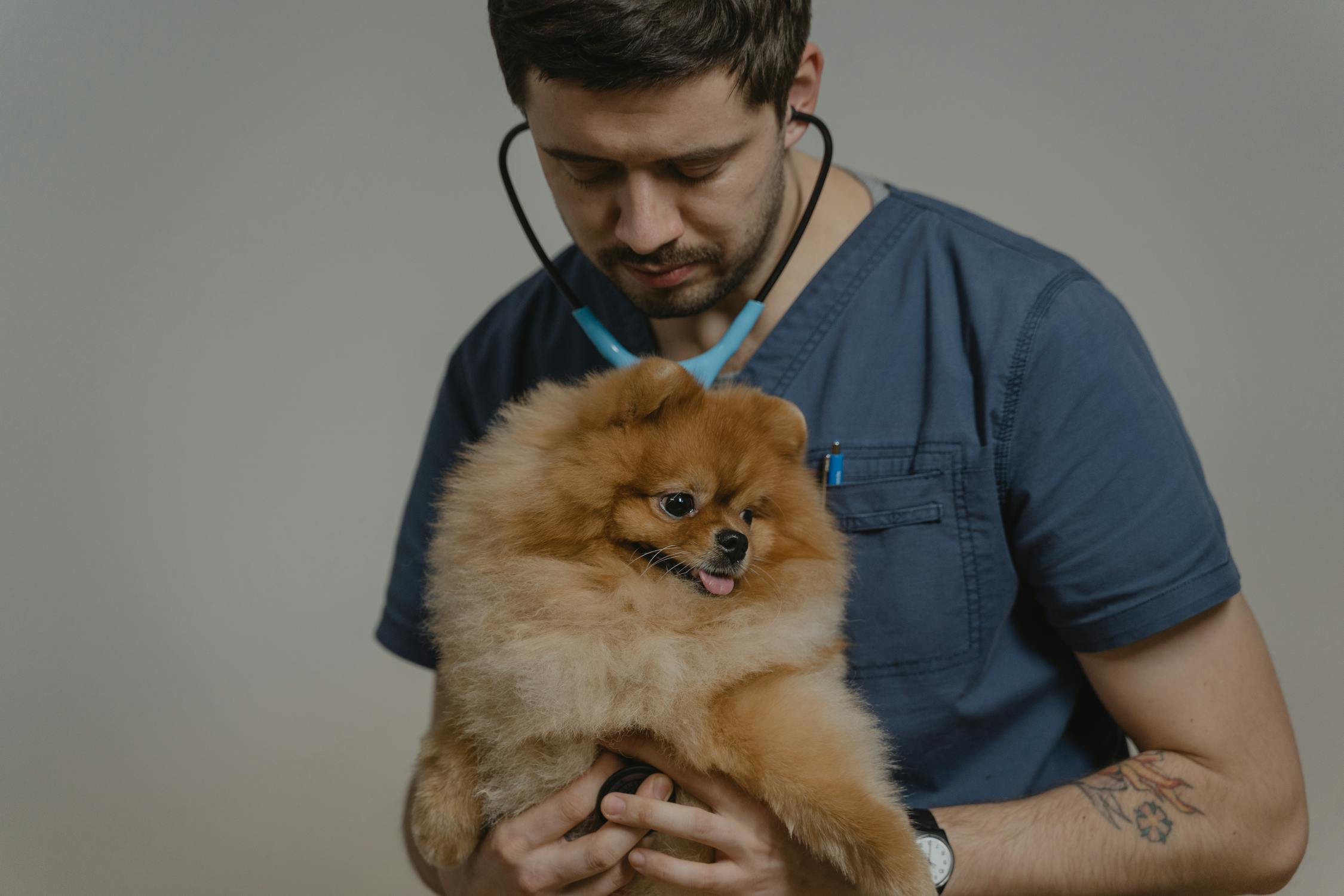 犬の心臓病（僧帽弁閉鎖不全症）の早期発見とケア