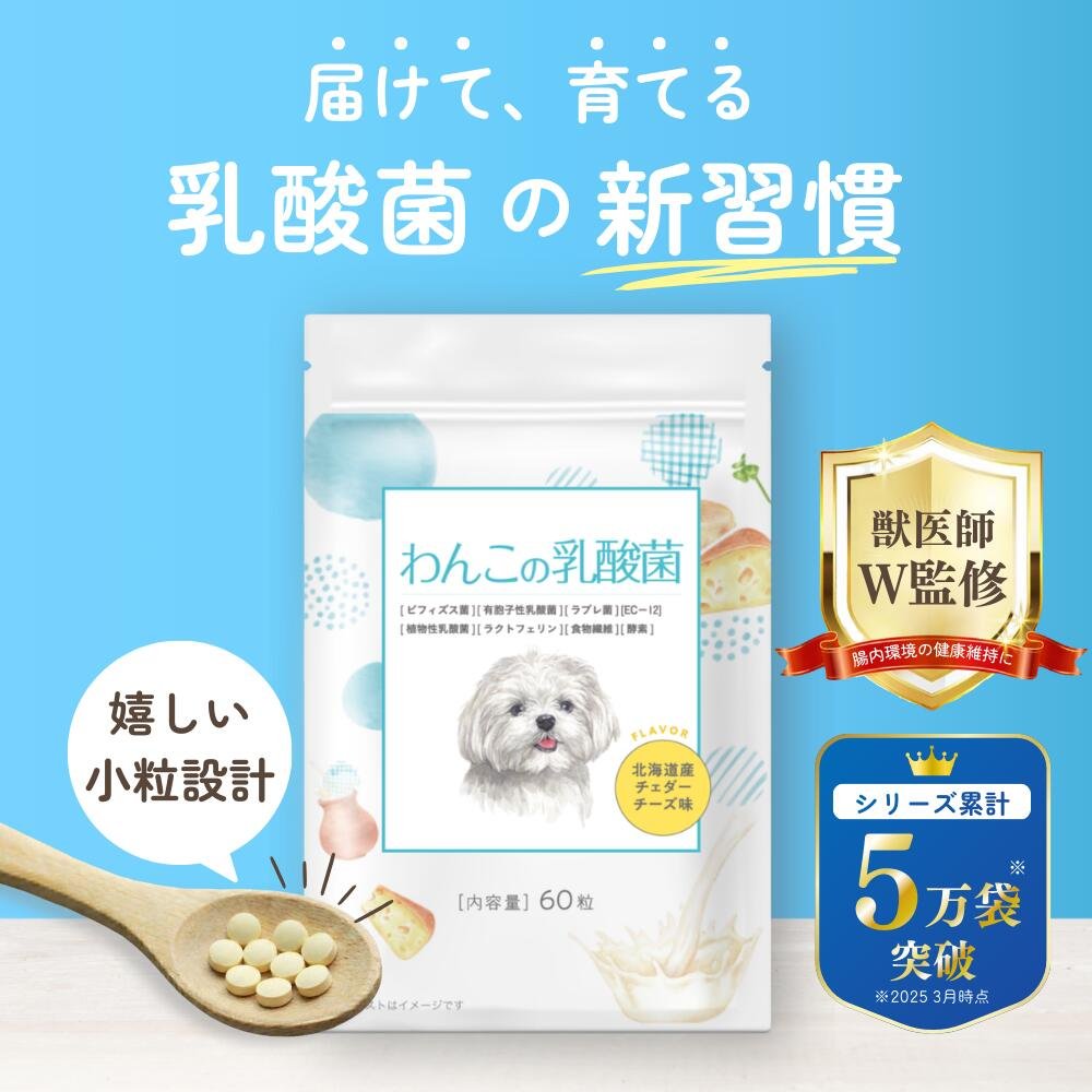 わんこの乳酸菌 犬 腸内環境 アレルギーサポートサプリ